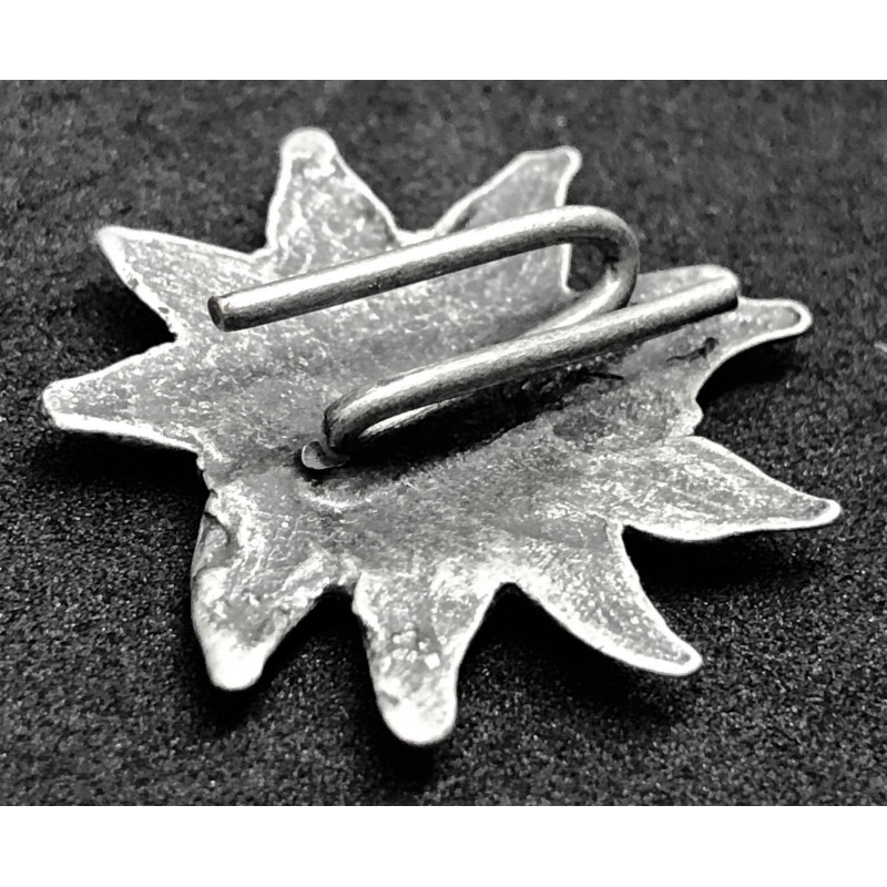 Edelweiss of the SA or SS mountain troops