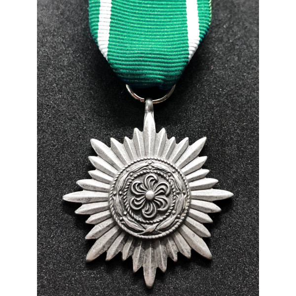 Medaglia Ostvolk di Seconda Classe (Argento)