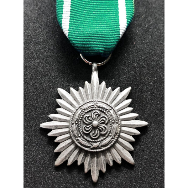 Ostvolk Medal 2nd Class (Silver)