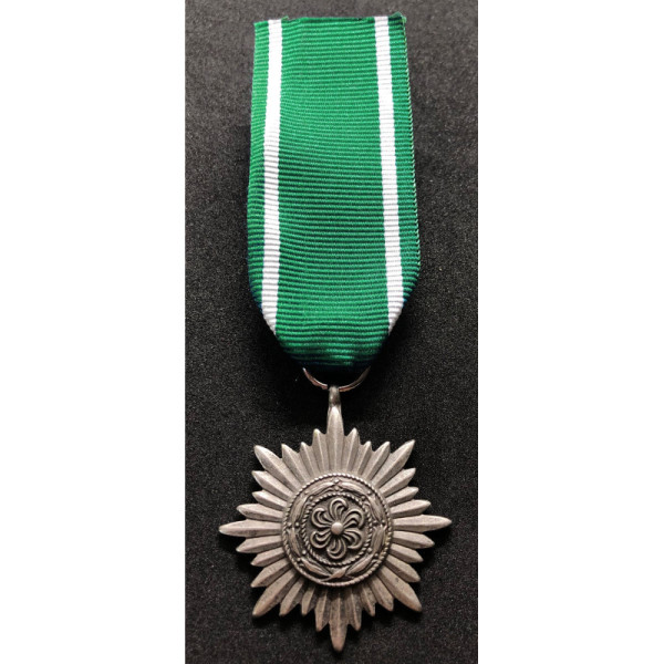 Medaglia Ostvolk di Seconda Classe (Argento)
