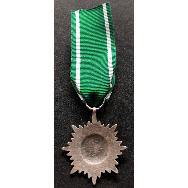 Medaglia Ostvolk di Seconda Classe (Argento)