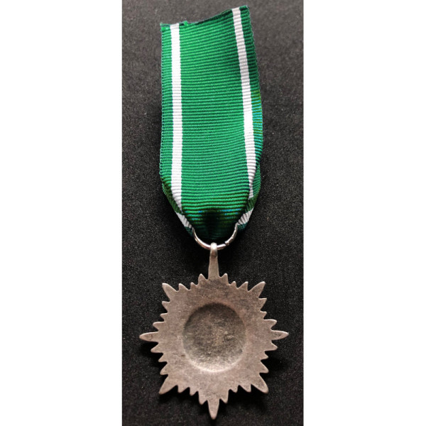 Medaglia Ostvolk di Seconda Classe (Argento)