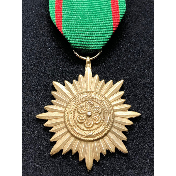 Tapferkeits- und Verdienstauszeichnung für Angehörige der Ostvölker II. Klasse (Gold)