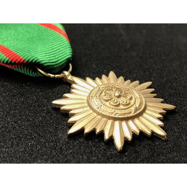 Ostvolk Medal 2nd Class (Gold)