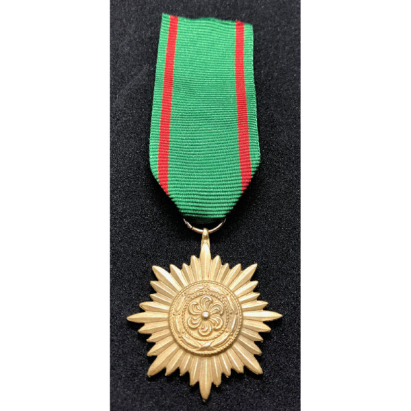 Medaglia Ostvolk di Seconda Classe (Oro)