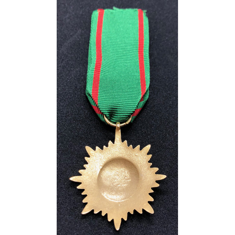 Tapferkeits- und Verdienstauszeichnung für Angehörige der Ostvölker II. Klasse (Gold)