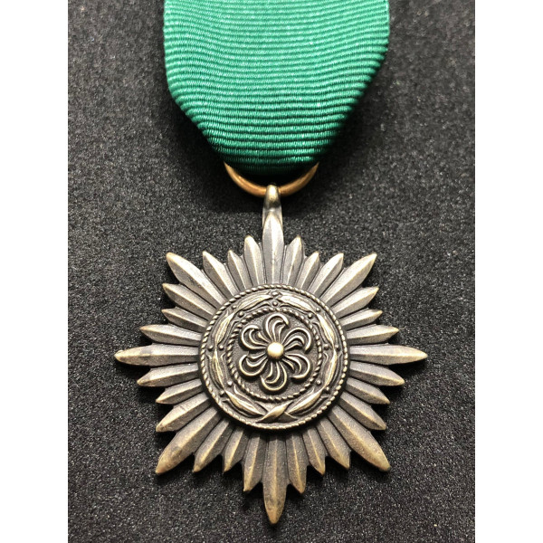 Ostvolk Medal 2nd Class (Bronze)