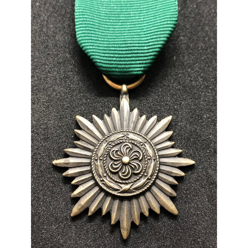 Tapferkeits- und Verdienstauszeichnung für Angehörige der Ostvölker II. Klasse (Bronze)