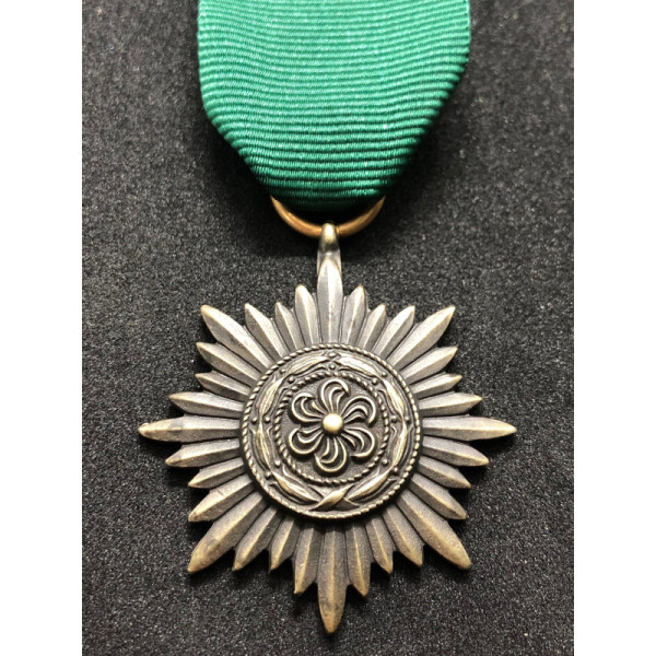 Tapferkeits- und Verdienstauszeichnung für Angehörige der Ostvölker II. Klasse (Bronze)