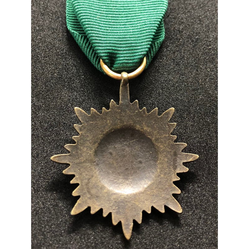 Tapferkeits- und Verdienstauszeichnung für Angehörige der Ostvölker II. Klasse (Bronze)