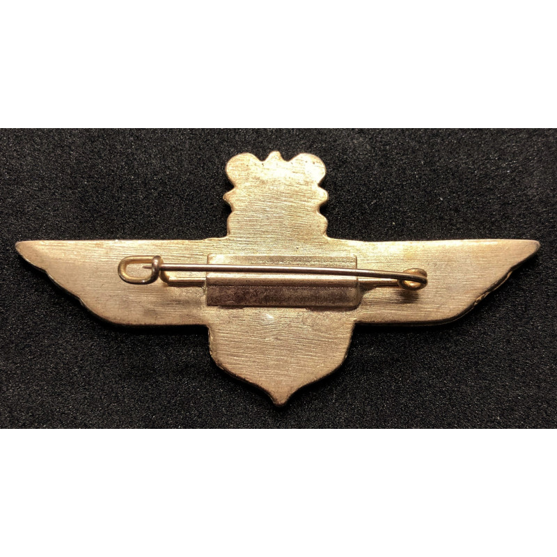 Croatian Air Force Legion Badge