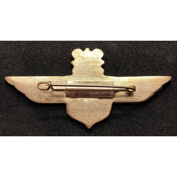 Distintivo della Legione dell'Aeronautica Croata