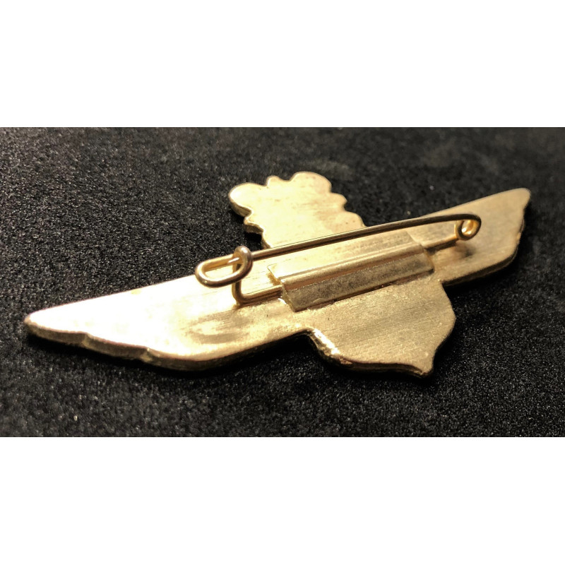 Distintivo della Legione dell'Aeronautica Croata