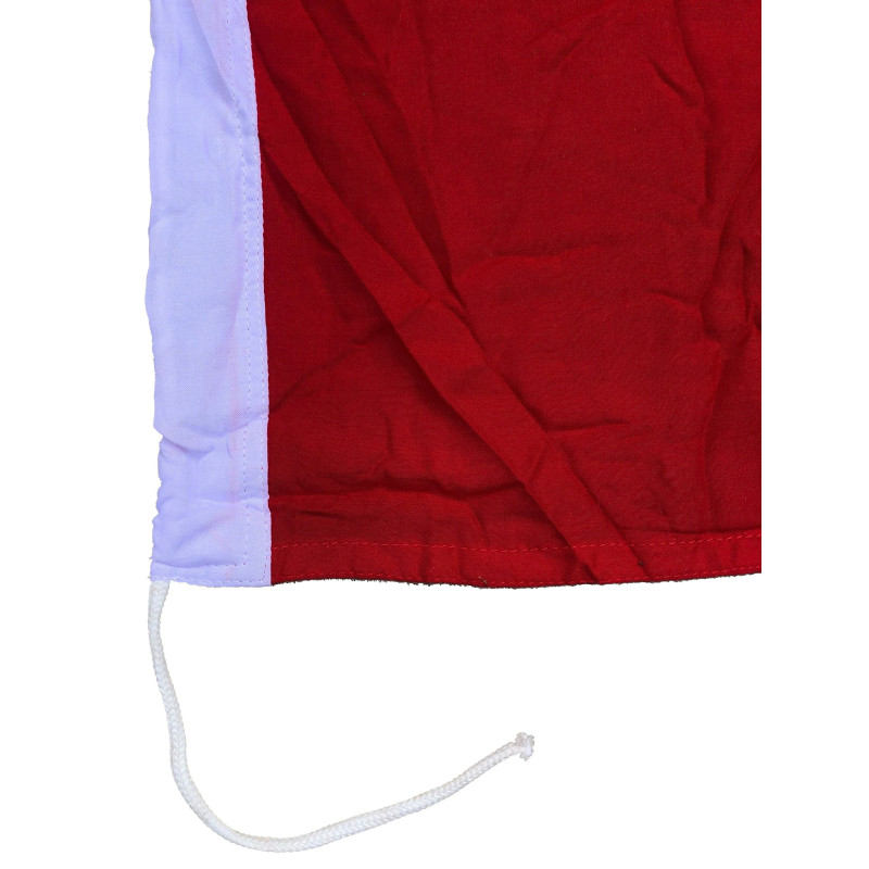 Flag - NSDAP Cotton (hand-stitched)