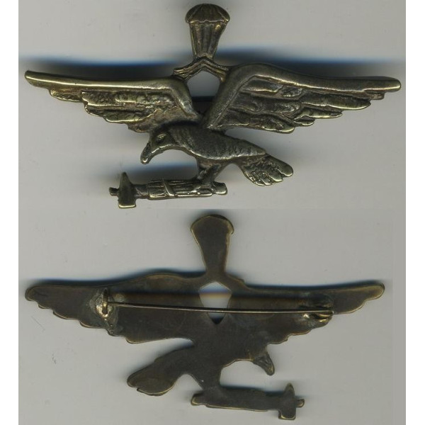RSI Pilot Abzeichen