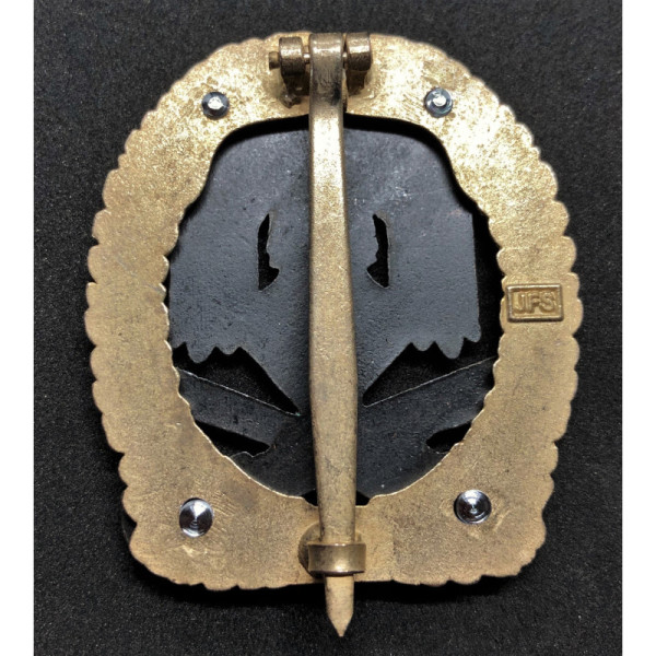 General Assault badge - 75 Assaults