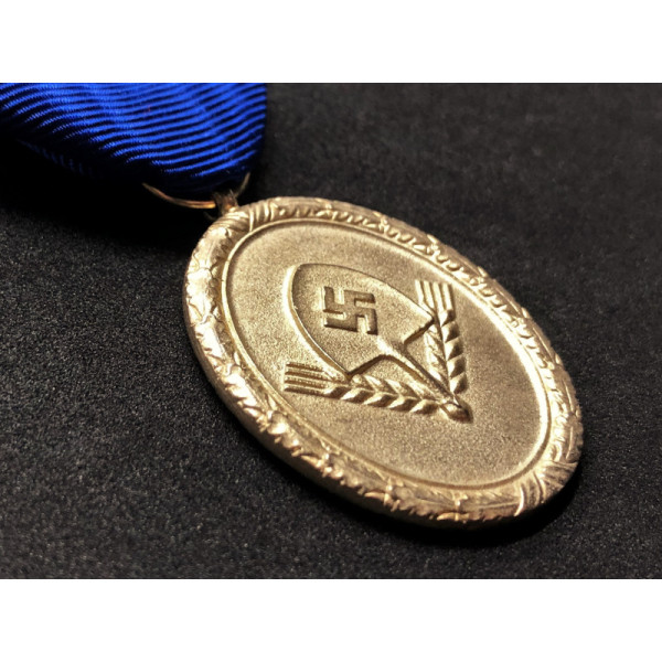 Medaglia di Lungo Servizio nel RAD 1a Classe - 25 Anni (Oro)
