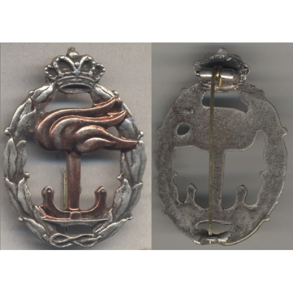 RR.AA. Strategic Recognition Badge (Gold)