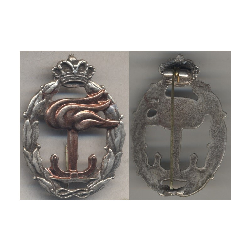 RR.AA. Strategic Recognition Badge (Gold)