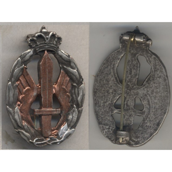 Air Force Badge for war actions, Assault and Combat  (Gold)