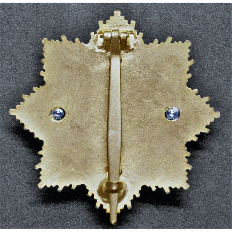 Deutsches Kreuz - Typ 2 (Gold/Gold)