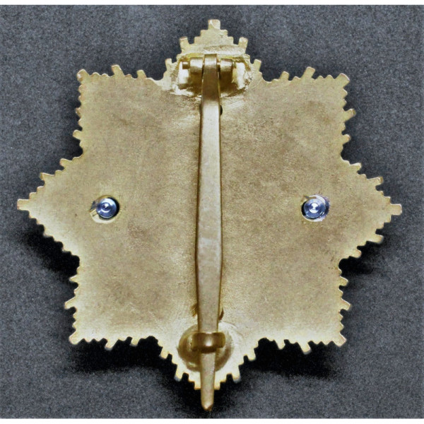 Deutsches Kreuz - Typ 2 (Gold/Gold)