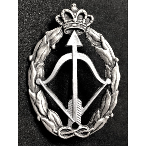 Abzeichen für Kriegsaktionen, Abfangjäger Flugzeug - von RR.AA. (Silber)