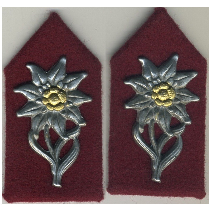 Stoffabzeichen - Militärpolizei, Infanteriedivision "San Marco"