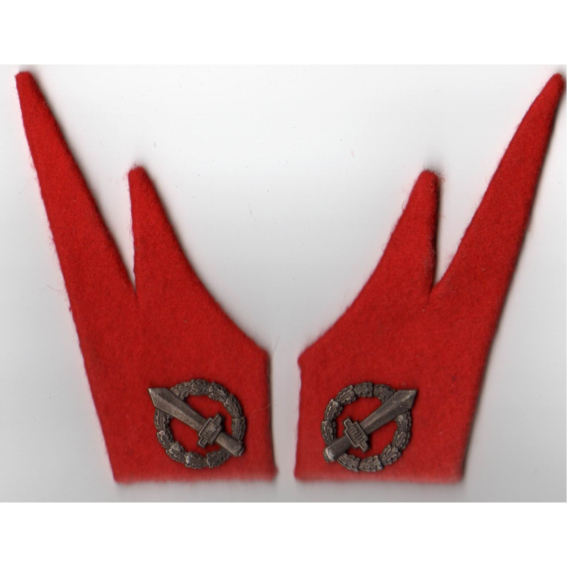 Mostrine - Polizia RSI