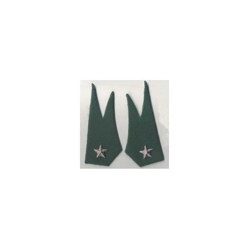 Mostrine - Alpini