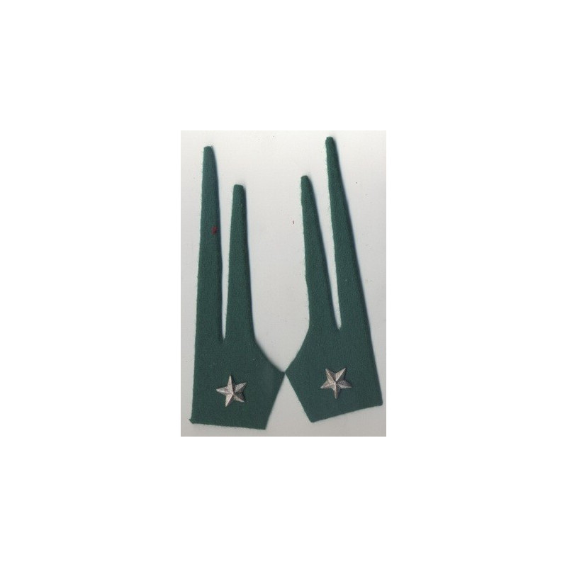 Mostrine - Alpini
