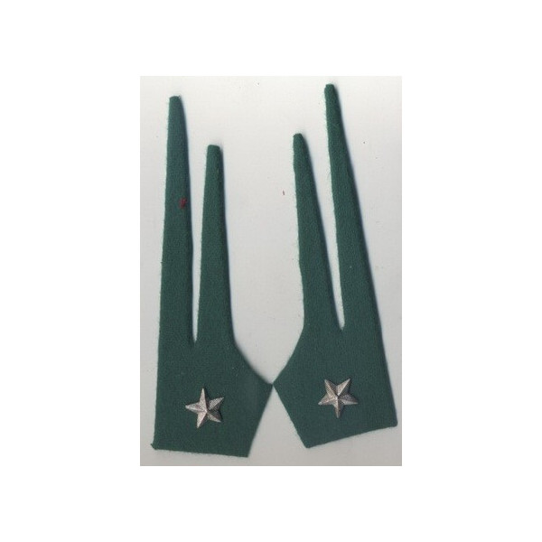 Cloth Insignia - Alpine
