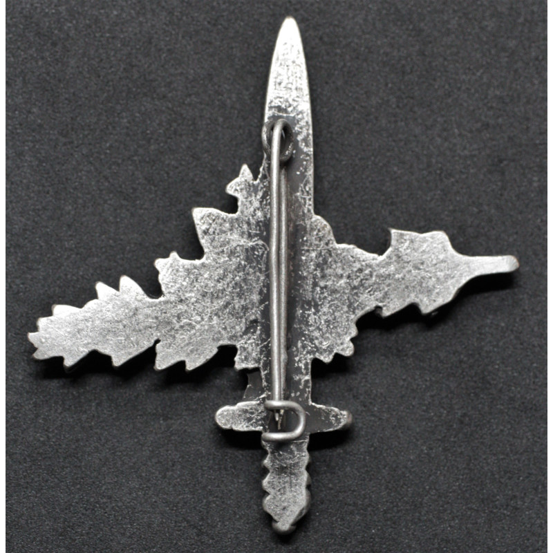 Prototype of the Badge for the Euroforce