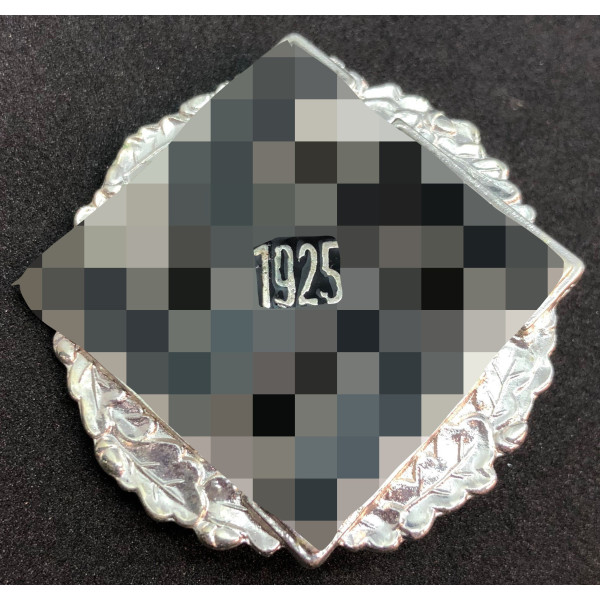 Badge Allgemeines Gau-Ehrenzeichen 1925 2
