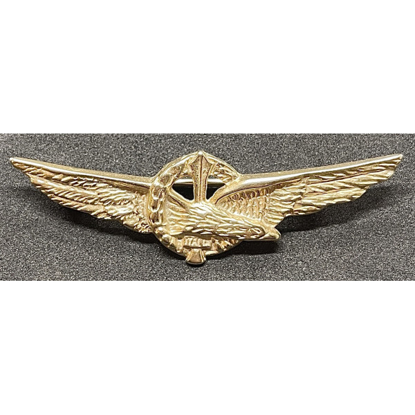 ARN Pilot Abzeichen "Johnson"