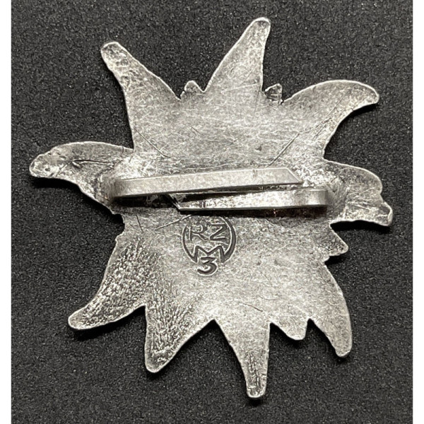 Edelweiss of the SA or SS mountain troops (Bigger Version)
