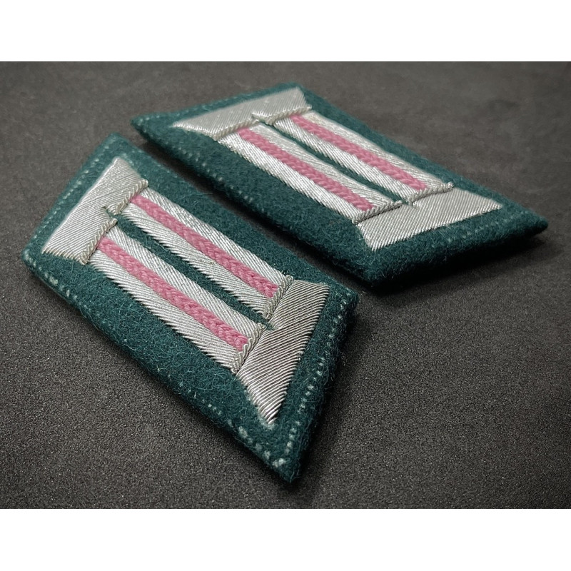 Kragenspiegel - Panzertruppen (Pink)