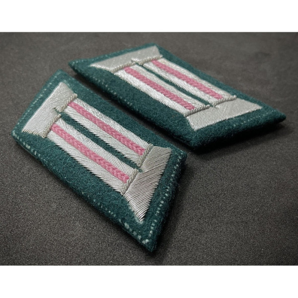 Kragenspiegel - Panzertruppen (Pink)