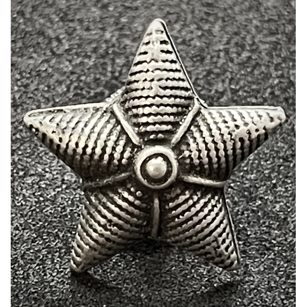 Stelletta per Mostrine - Regio Esercito