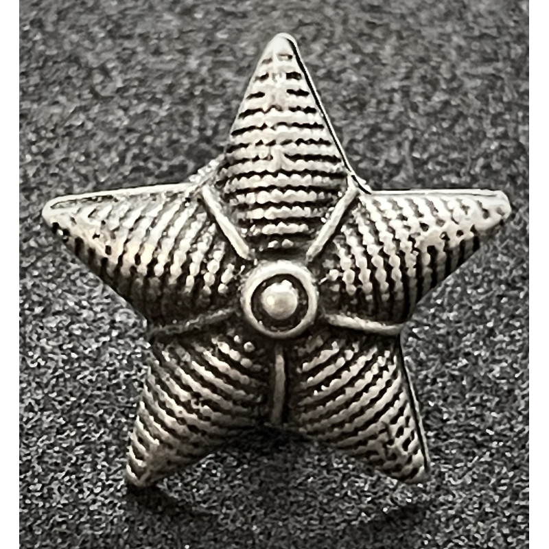 Stern für Kragenspiegel - Königliche Armee