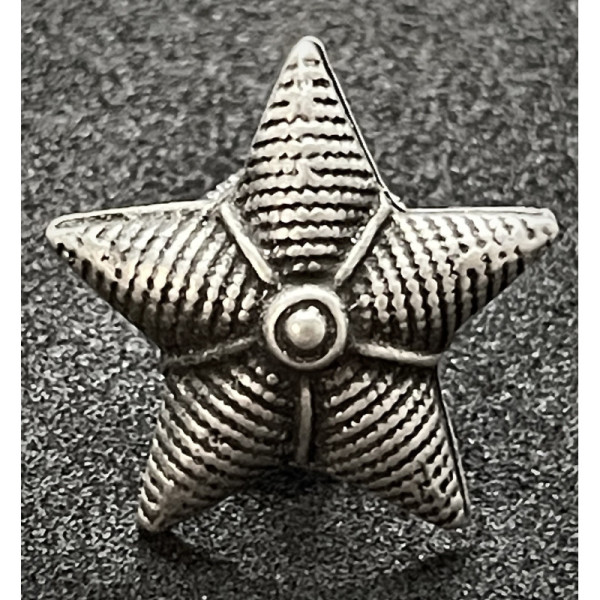 Stern für Kragenspiegel - Königliche Armee