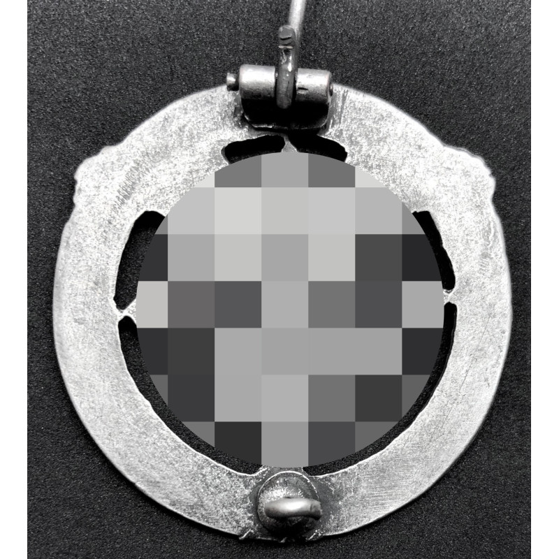 Deutsches Motorsportabzeichen (Silber)