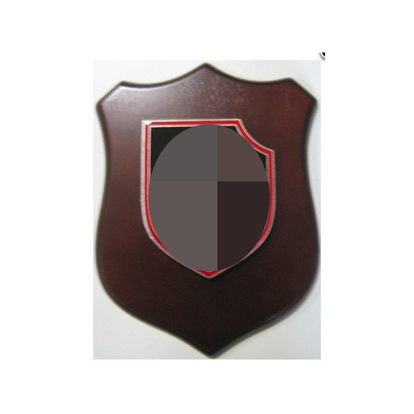 Wallshield