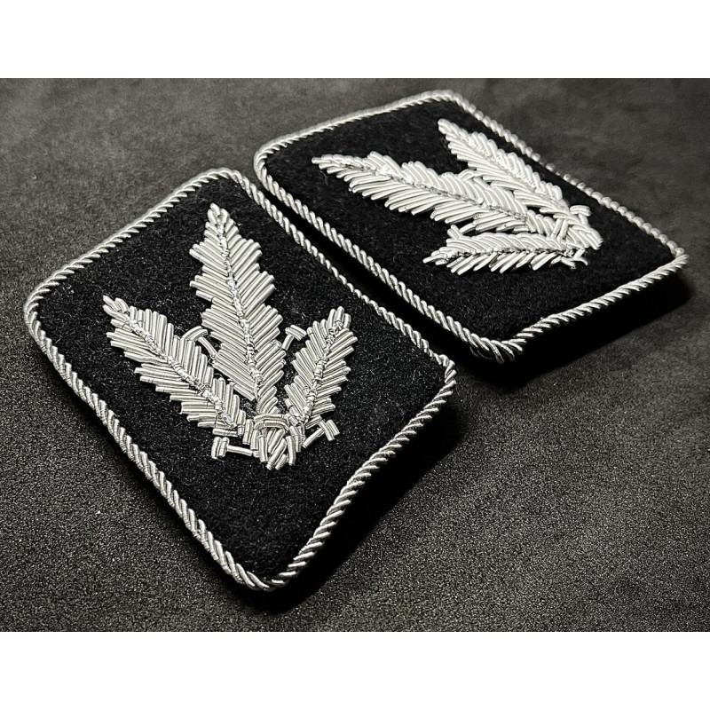 Mostrine Waffen-SS - Brigadeführer