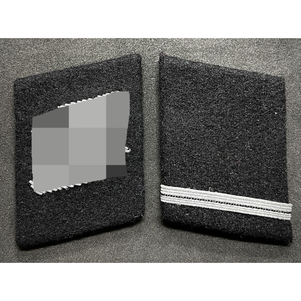 Waffen-SS Kragenspiegel - Sturmmann 2