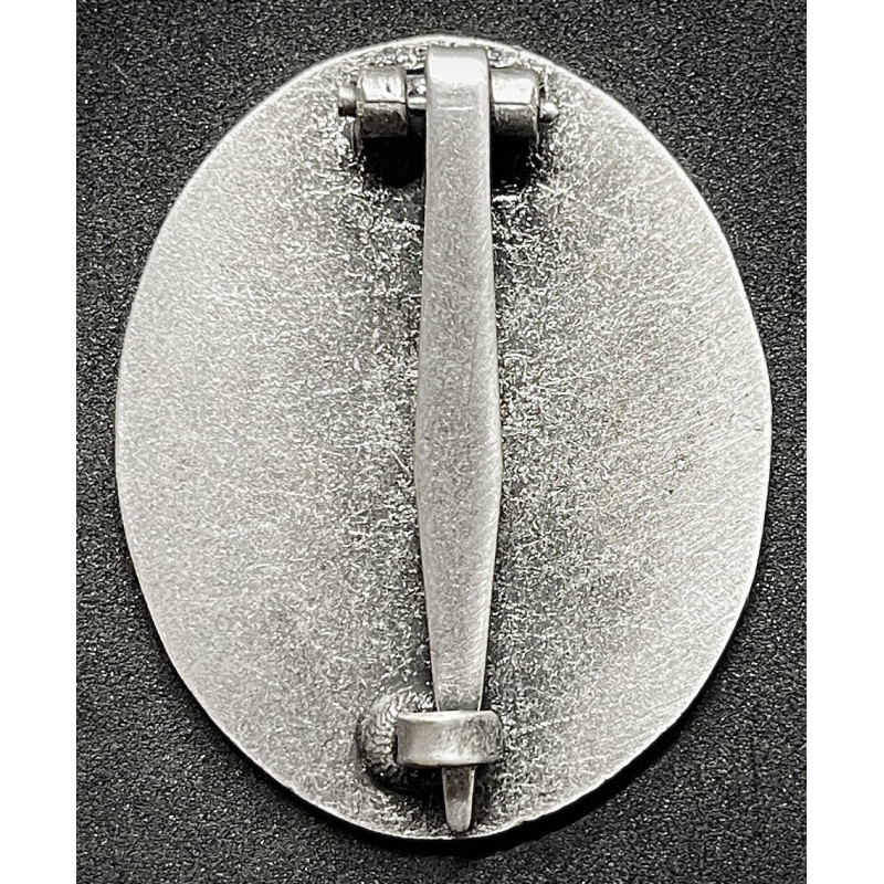 Alter Kämpfer Gau badge