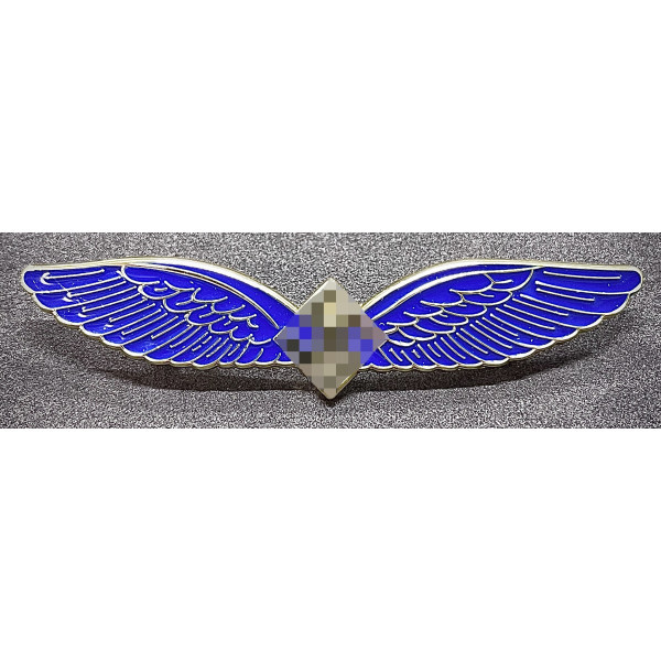 Distintivo di Pilota Civile e Operatore Radio (C.E Juncker Berlin SW)