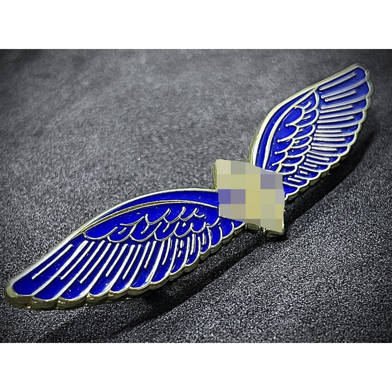 Civil Pilot and Radio Operator Badge (C.E Juncker Berlin SW)