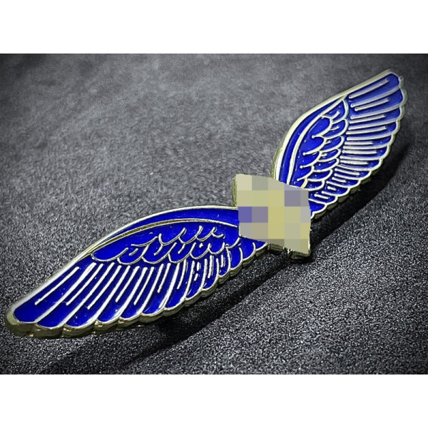 Civil Pilot and Radio Operator Badge (C.E Juncker Berlin SW)