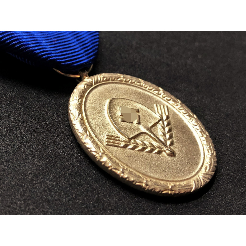 Long Service RAD Medal 1st Class - 25 Years (Gold)